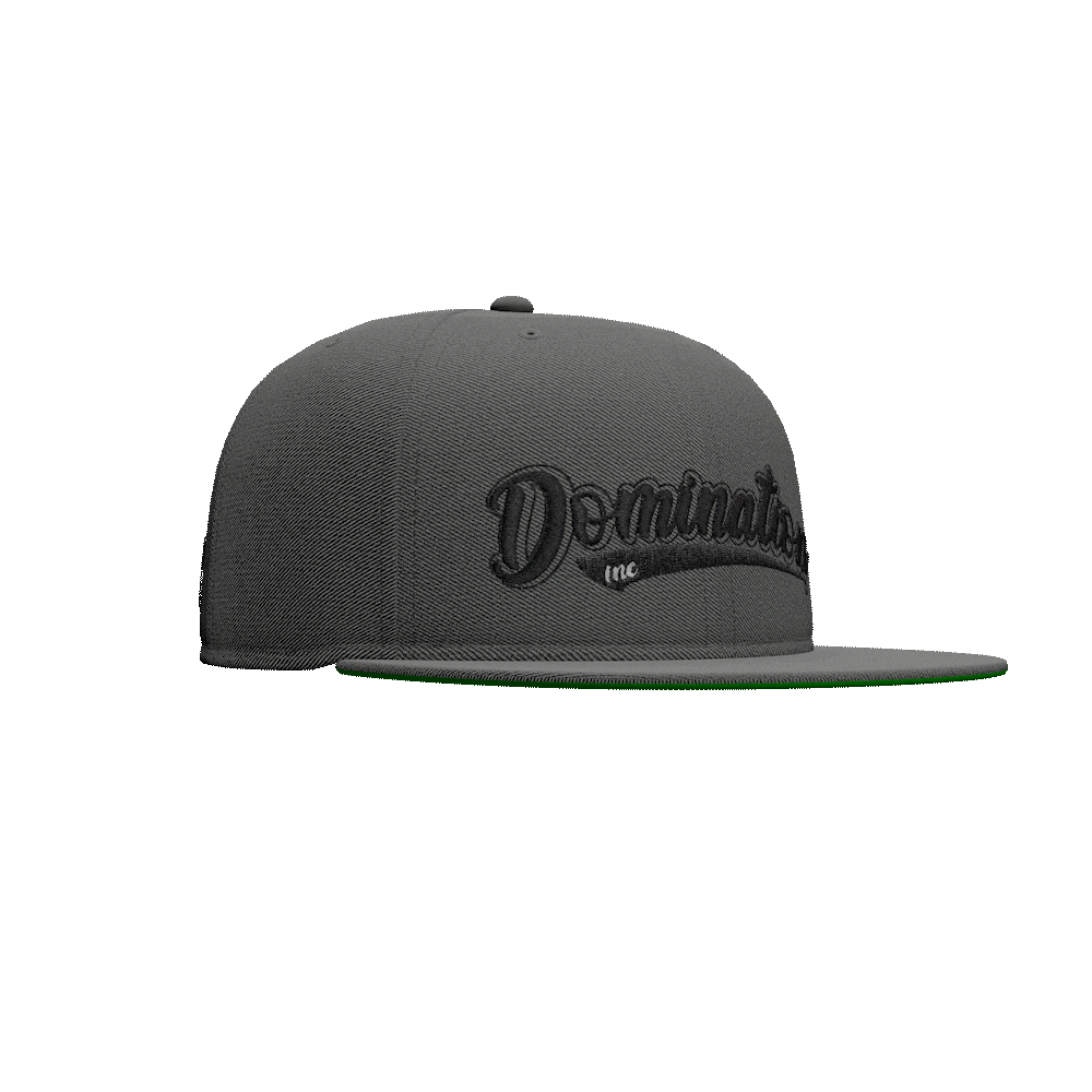 "Baseball logo" Snapback Gray